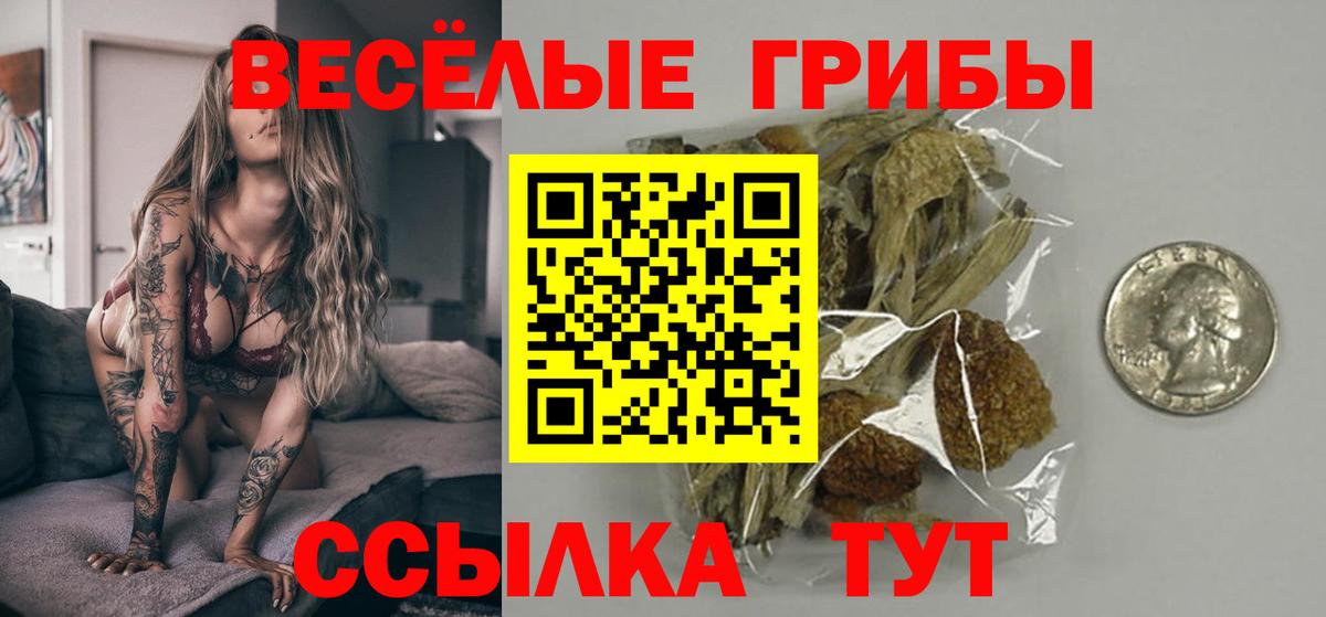 Галлюциногенные грибы Magic Shrooms Сызрань