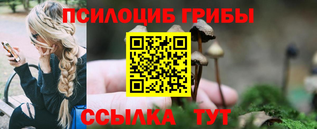Псилоцибиновые грибы мухоморы  Вход с VPN  Сызрань 
